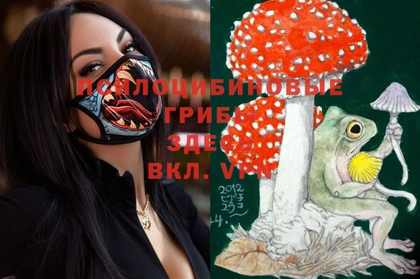 mix Алексеевка