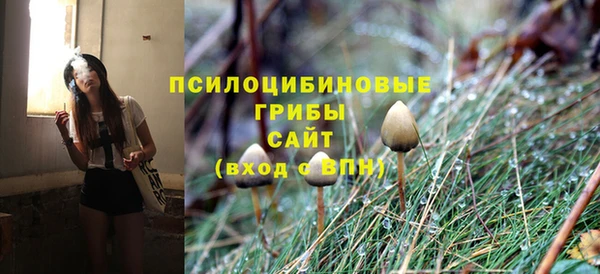 ECSTASY Алексин